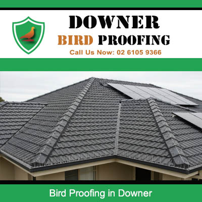 Successfully completed bird proofing installation on tiled roof in Downer Canberra